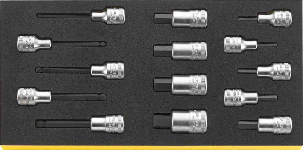 Stahlwille Set of 241 Workshop Tool for Basic VW/Audi with TCS Insert - ST 97830820 Stahlwille