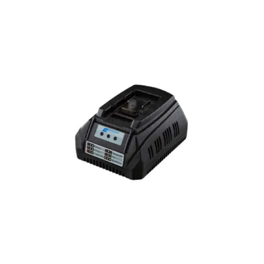 Delta Regis ESB-CHG70 | Battery Charger (Standard Charger), Input 90 degree240V, 16.8V, 3.2A, Delta Regis