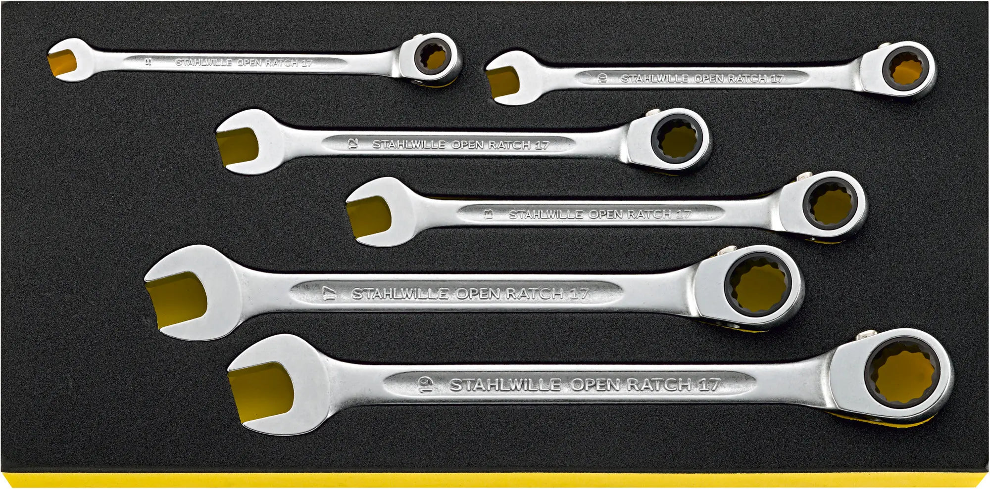 Stahlwille Set of 241 Workshop Tool for Basic VW/Audi with TCS Insert - ST 97830820 Stahlwille