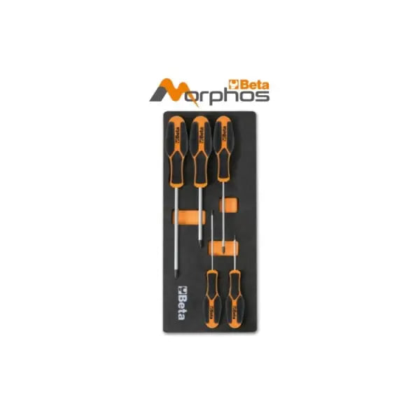 Beta Tools Morphos Screwdriver with EVA Foam Tray for Cross Head Phillips Screws - BT 024500185 