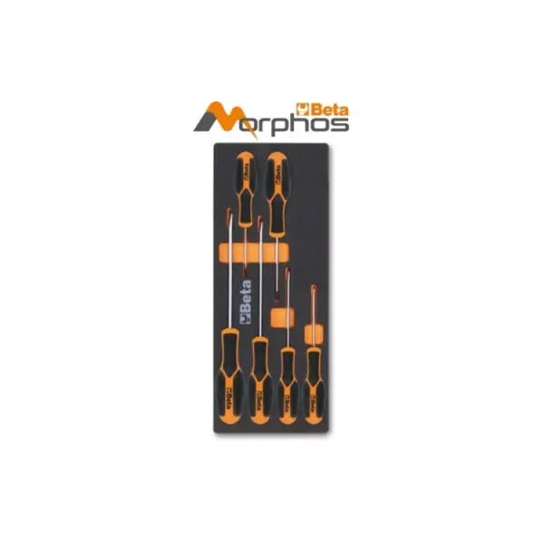Beta Tools Morphos Screwdriver with EVA Foam Tray for Slotted and Cross Head Phillips Screws - BT 024500181 