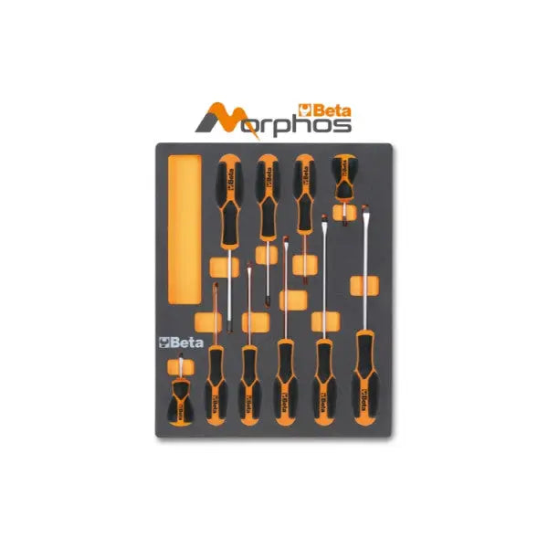 Beta Tools Morphos Screwdriver with EVA Foam Tray for Slotted and Phillips Head Screws - BT 024500243 