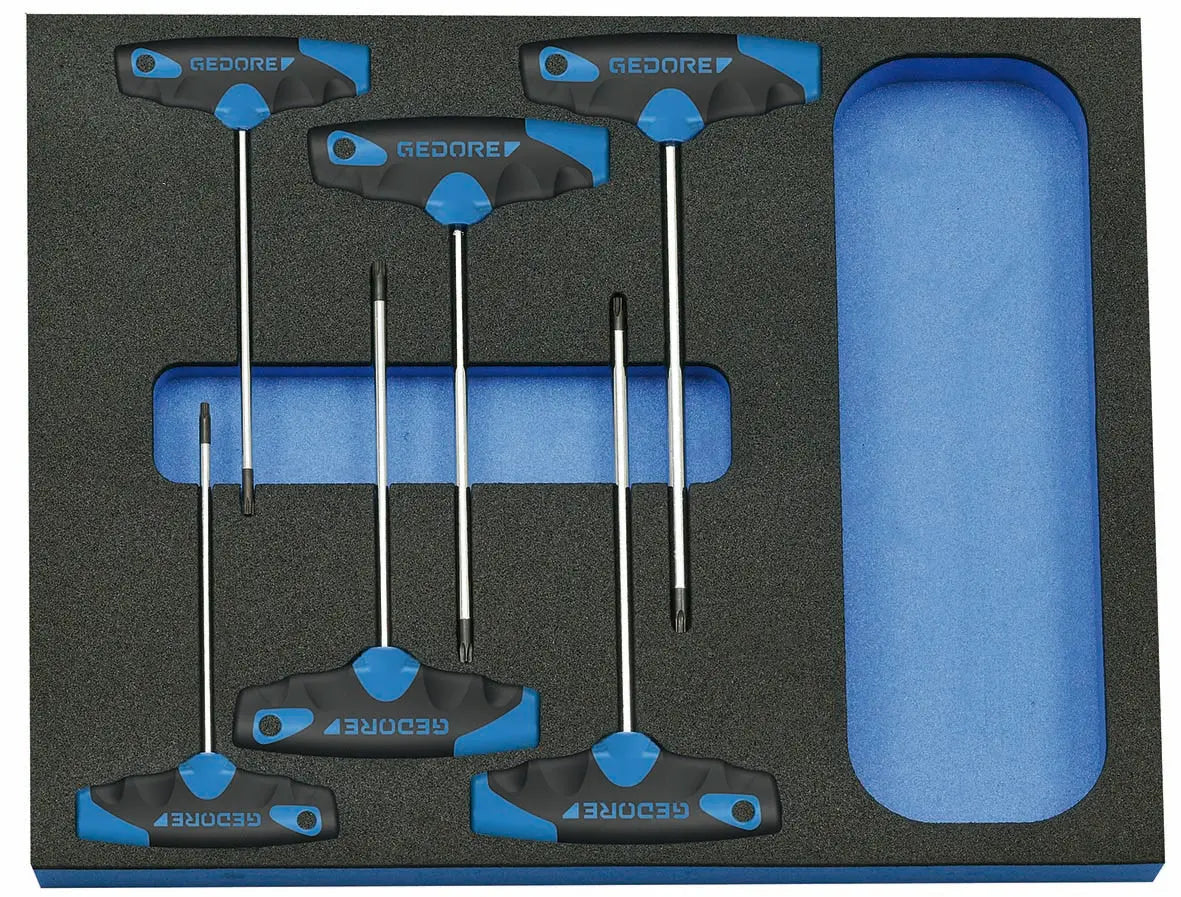 Gedore 2005 CT2-2142 TX Screwdriver set in 2/4 CT tool module, 6 pcs 2016559 Gedore
