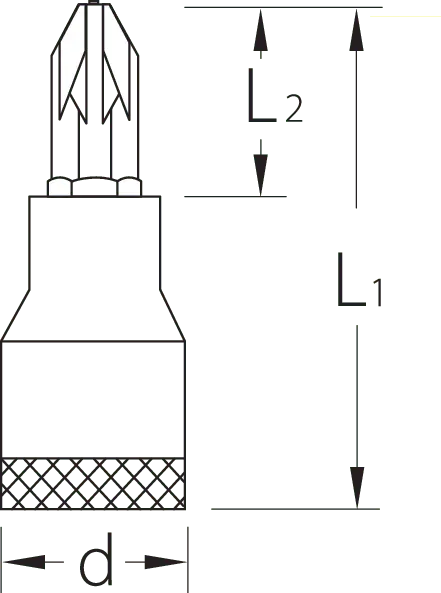 Gedore 1/2 in POZI Screwdriver Bit Socket, PZ2 - GD 6156680 Gedore