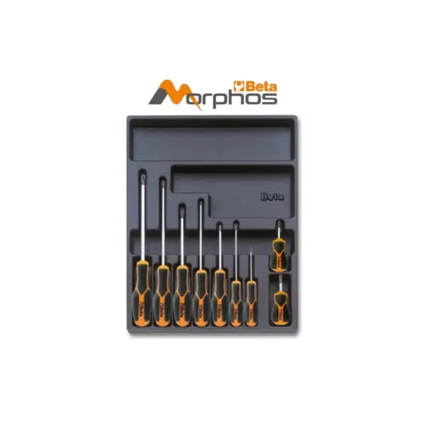 Beta Tools Morphos Screwdriver with ABS Thermoformed Tray for Phillips Head Screws - BT 024240184 