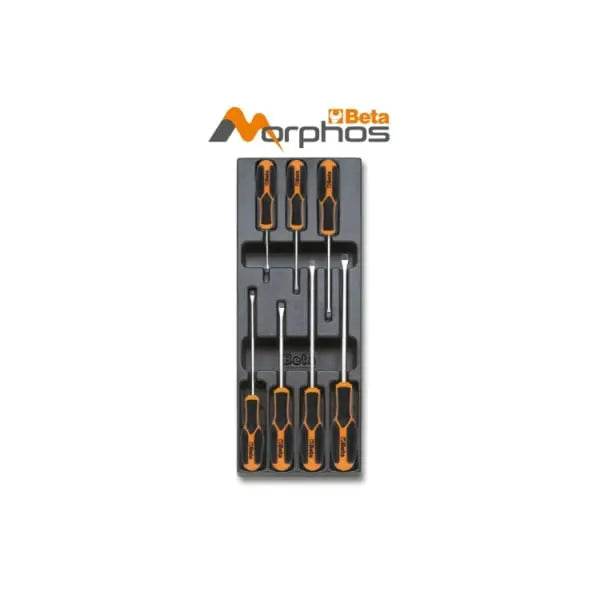 Beta Tools Morphos Screwdriver with ABS Thermoformed Tray for Slotted Head Screws - BT 024240189 