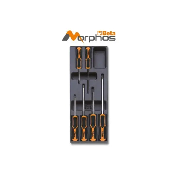 Beta Tools T202MH ABS Thermoformed Empty Tray - BT 024000753 