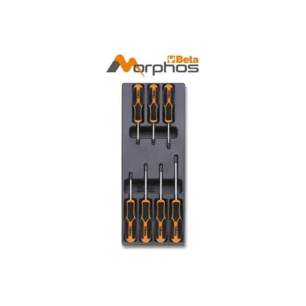 Beta Tools T205MH ABS Thermoformed Empty Tray - BT 024000770 