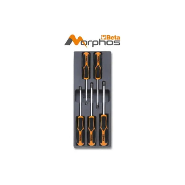 Beta Tools T206MH ABS Thermoformed Empty Tray - BT 024000771 