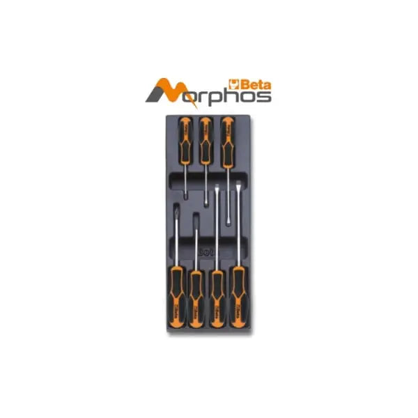 Beta Tools Morphos Screwdriver with ABS Thermoformed Tray for Slotted and Phillips Head Screws - BT 024240243 